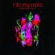 Wasting Light (Deluxe Edition) CD1 Cover